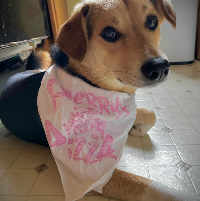 Doggy Bandana.